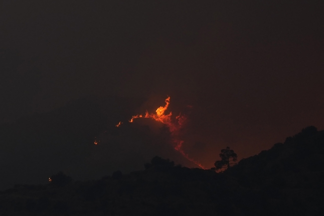 Fotoğraf: AP